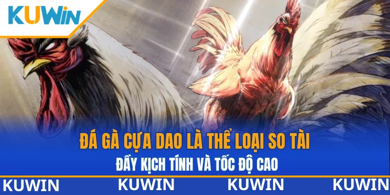 Đá gà cựa dao là thể loại so tài đầy kịch tính và tốc độ cao