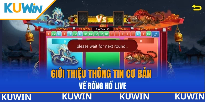 Giới thiệu thông tin cơ bản về rồng hổ live