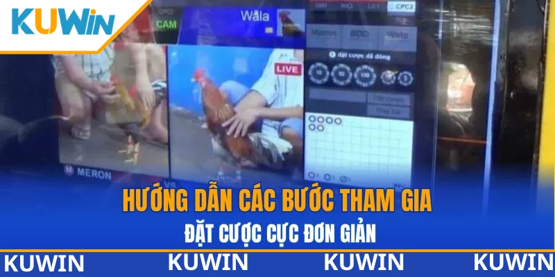 Hướng dẫn các bước tham gia đặt cược cực đơn giản