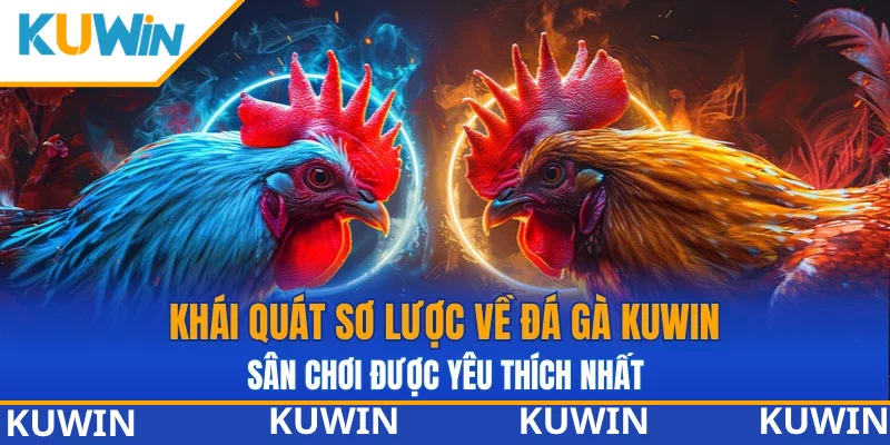 Khái quát sơ lược về đá gà KUWIN