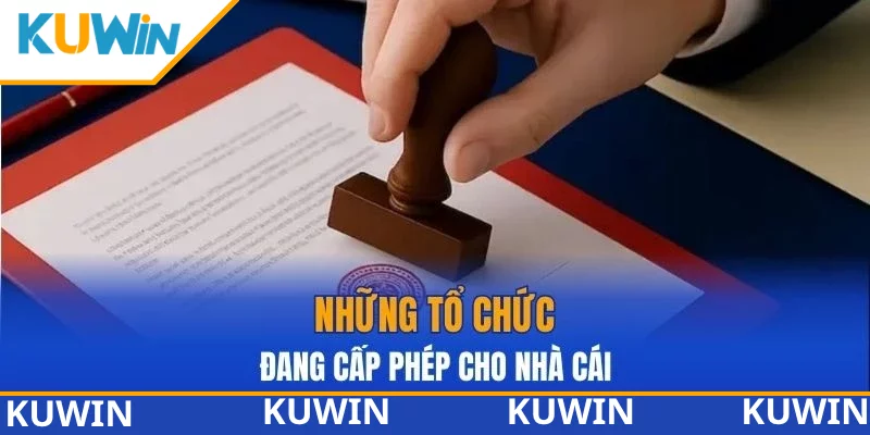 Những tổ chức đang cấp phép cho nhà cái Những tổ chức đang cấp phép cho nhà cái